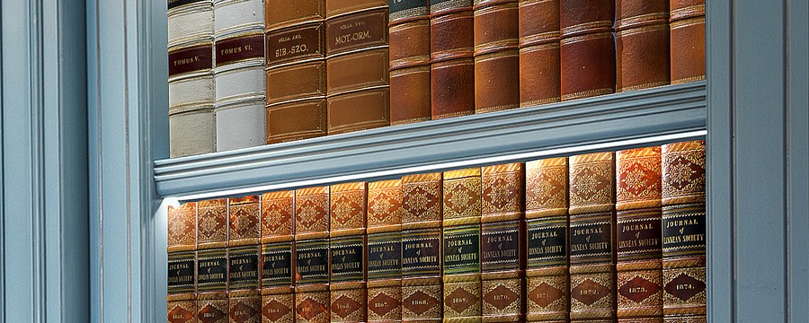 Antique Spines