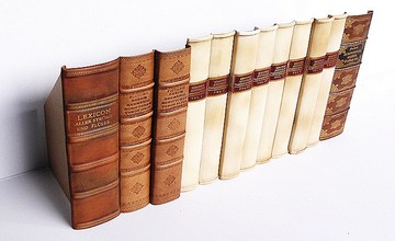 Book Spines old faux bookcase