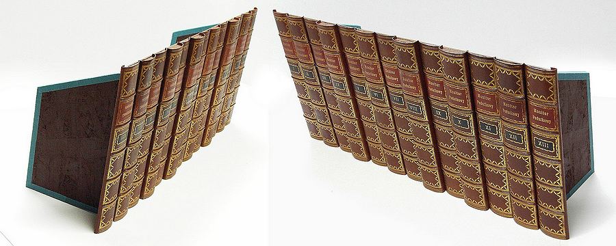 Fake Faux Book Leather Antique Spines