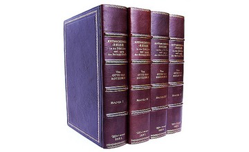 Book Spines old faux bookcase