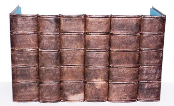 Book Spines old faux bookcase