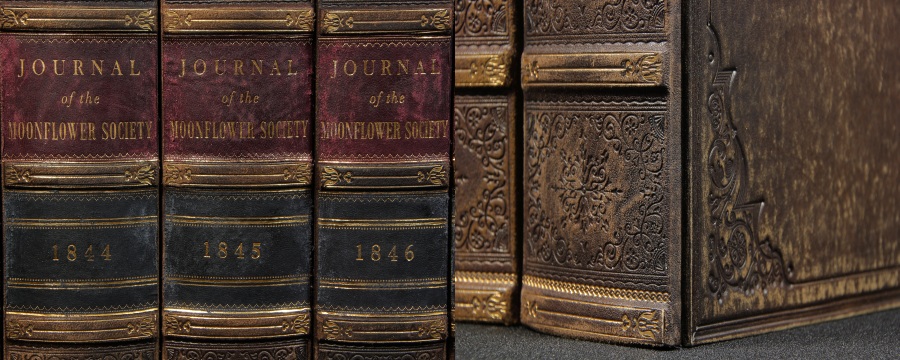 Genuine Leather Book Spines for Bookshelf