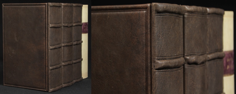 Genuine Leather Book Spines for Bookshelf