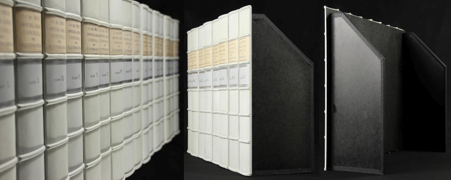 Genuine Leather Book Spines for Bookshelf