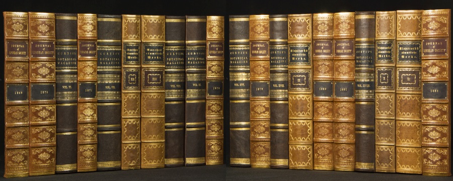 Replica Book Panels Vellum and Parchment Book Spines