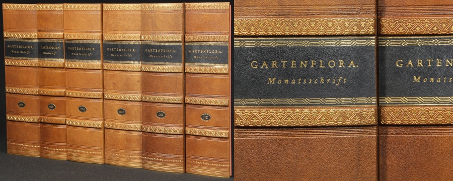 Replica Book Panels Vellum White Leather Book Spines