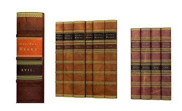 Book Spines old faux bookcase