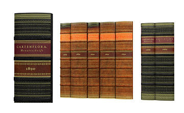 Book Spines old faux bookcase