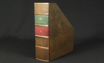 Book Spines old faux bookcase