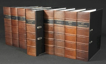 Book Spines old faux bookcase