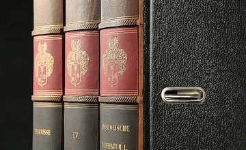 Book Spines old faux bookcase
