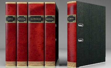 Book Spines old faux bookcase