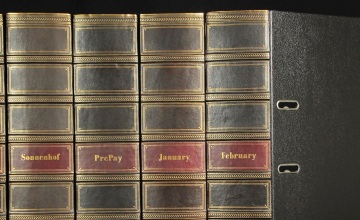 Book Spines old faux bookcase