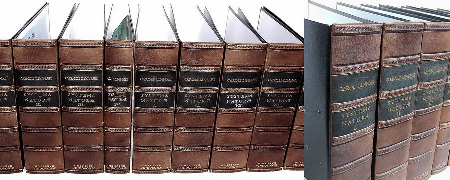 Genuine Leather Ring Binders