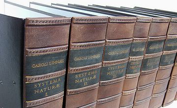 Genuine Leather Personalised Magazine Files