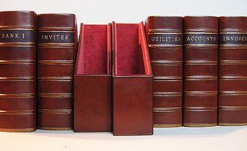 Book Spines old faux bookcase