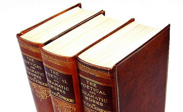 Antique Vellum Book Spines