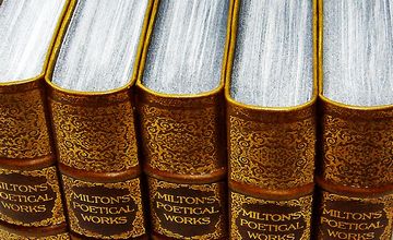 Book Spines old faux bookcase