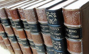 Book Spines old faux bookcase