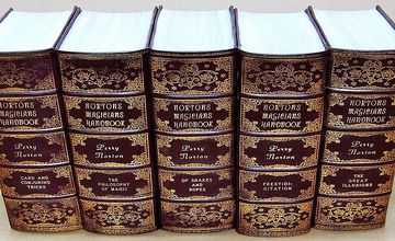Antique Vellum Book Spines
